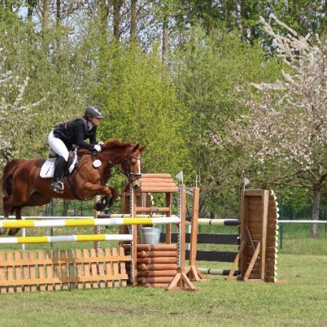 Lamia v Hengst Lycon Springpferd Sporthorse