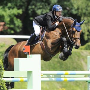 Chacco Blue - Sport Horse Sportpferd - Springpferd Zucht