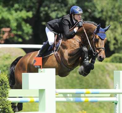 Chacco Blue - Sport Horse Sportpferd - Springpferd Zucht