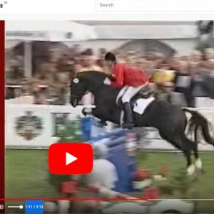 Hengst Escudo I - Stallion Escudo I