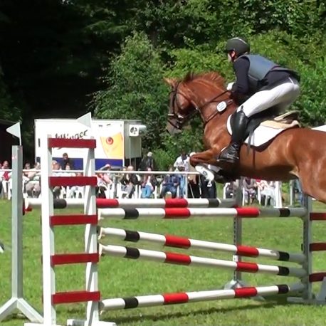 lamia-lycon-sport-horse-stehr-005