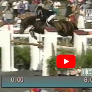 Hengst Olisco - Stallion Olisco