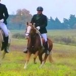 Sport Horse Reitanlage