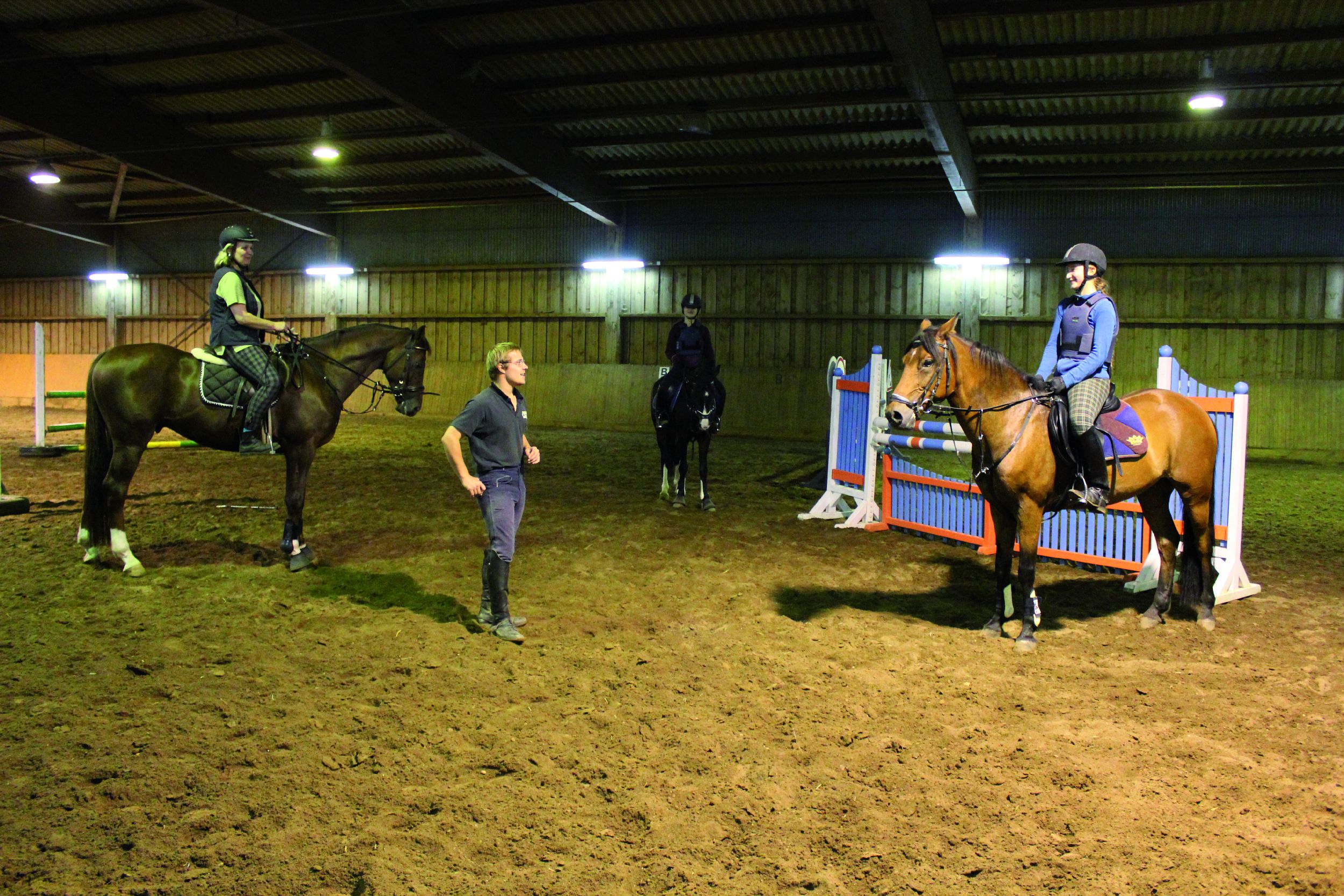 Reithalle Sport Horse Sportpferde