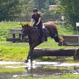 von Stolzenberg Hannoveraner - Sporthorse Eventing