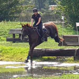 von Stolzenberg Hannoveraner - Sporthorse Eventing