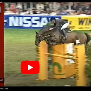 Hengst Stakkato - Stallion Stakkato