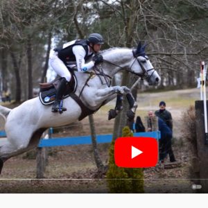 Upsilon von Canturo - Hengst Stallion Étalon