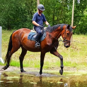 Uther - Ultra Boy ( Heartbreaker ) x Carbano