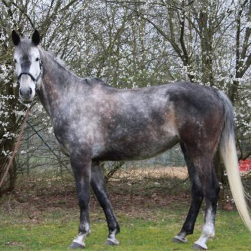 Souper Shuttle mit Chloe Reid erfolgreich