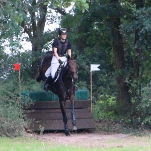 Asti's Amsterdam Tochter Arween Sport Horse Springpferde Zucht