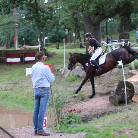 Asti's Amsterdam Tochter Arween Sport Horse Springpferde Zucht