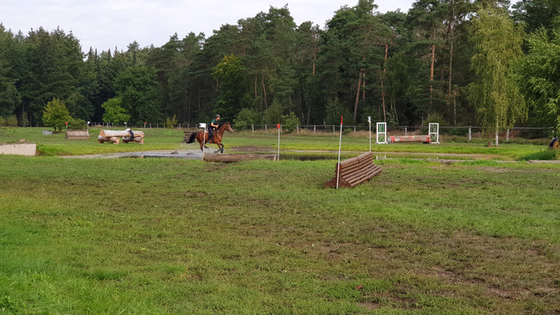 Blue Bay - Cornado NRW  Askar AA - Sport Horse Eventers