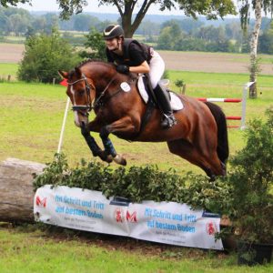 Blue Bay Bee - Cornado NRW ( Cornado I )- Askar AA - Sport Horse