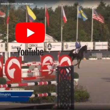 Christian Ahlmann auf Pocahontas 96