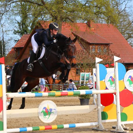 Arween von Asti's Amsterdam Sport Horse Springpferdezucht