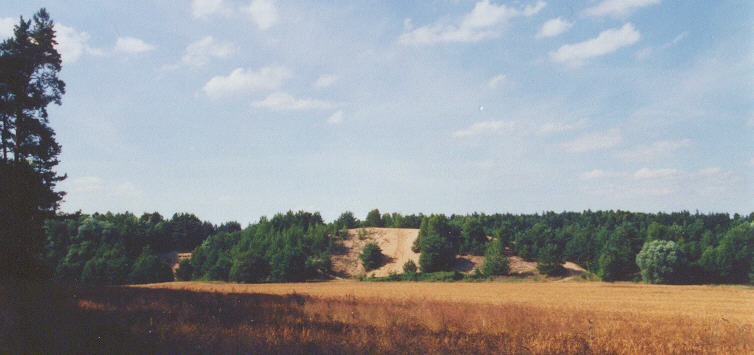 Eventing Horses - Sport Horse Breeding