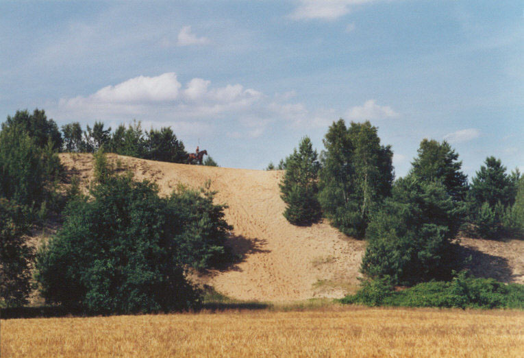 Eventing Horses - Sport Horse Breeding