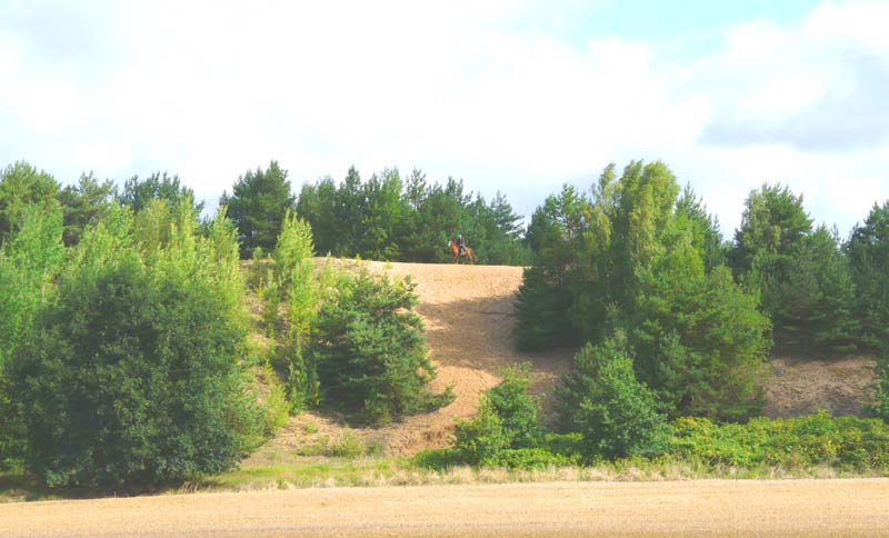 Eventing Horses - Sport Horse Breeding