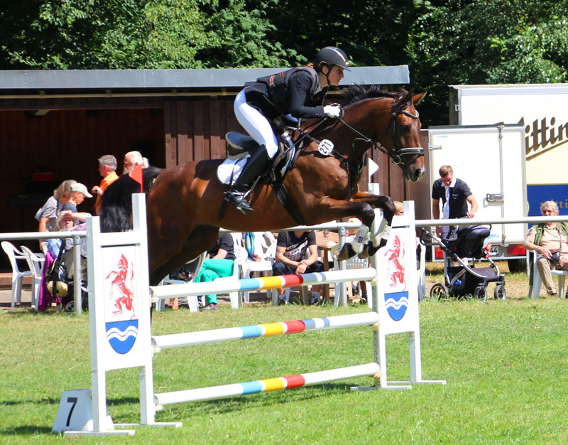 Eventing Horses - Sport Horse Breeding