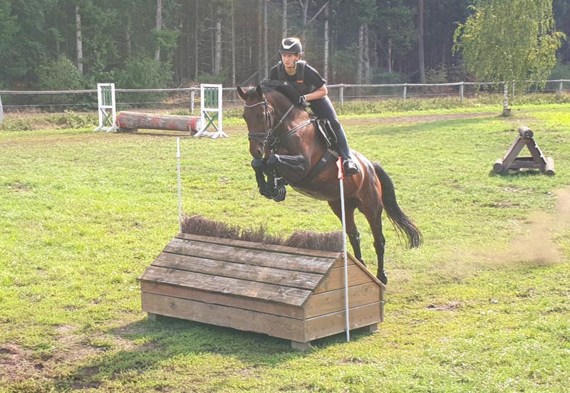 Eventing Horses - Sport Horse Breeding