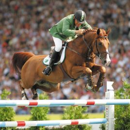 Tinka's Boy unter Markus Fuchs