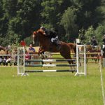 Pferdesport Jahr Sport Horse Stipendium Scholarship