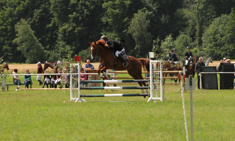 Pferdesport Jahr Sport Horse Stipendium Scholarship