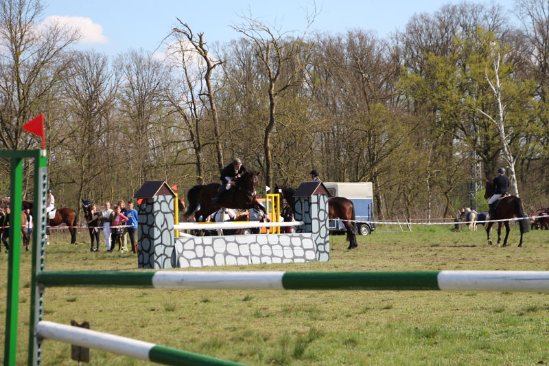 Pferdesport Jahr Sport Horse Stipendium Scholarship