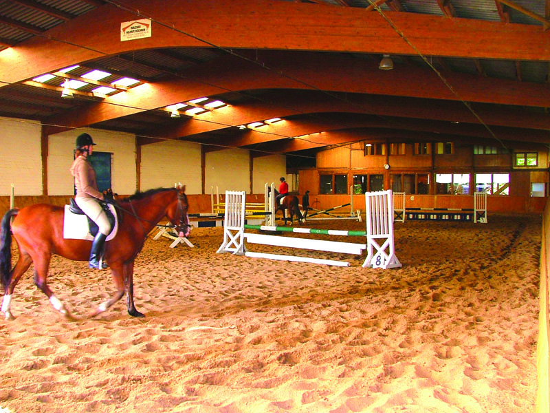 Pferdesport Jahr Sport Horse Stipendium Scholarship