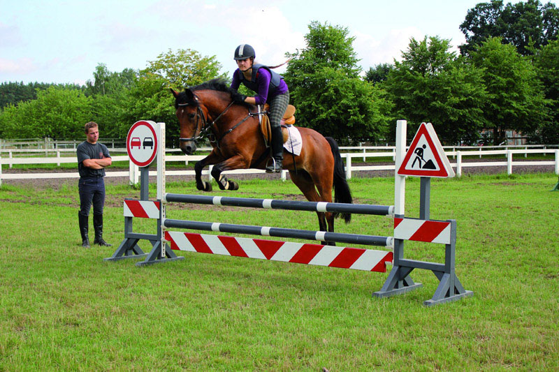 Pferdesport Jahr Sport Horse Stipendium Scholarship