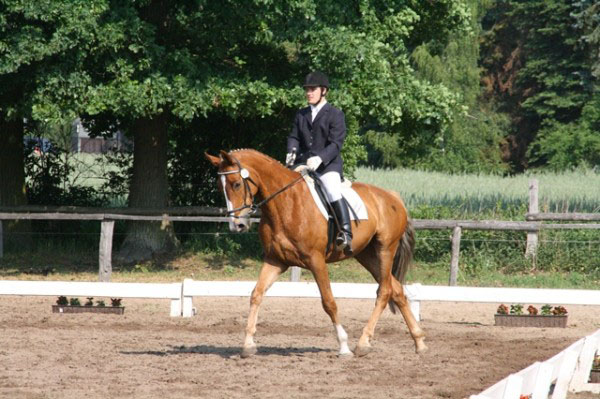Pferdesport Jahr Sport Horse Stipendium Scholarship