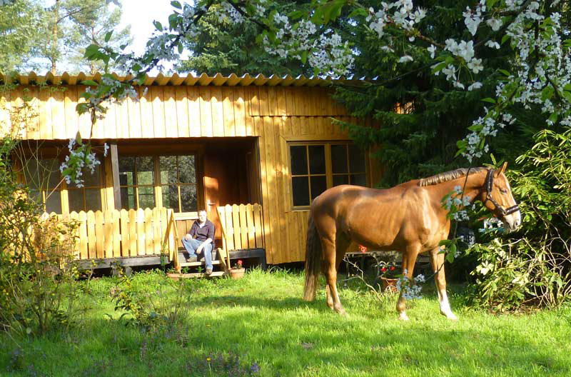 Pferdesport Jahr Sport Horse Stipendium Scholarship