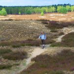 Sabbat-Jahr - ein Individual-Jahr