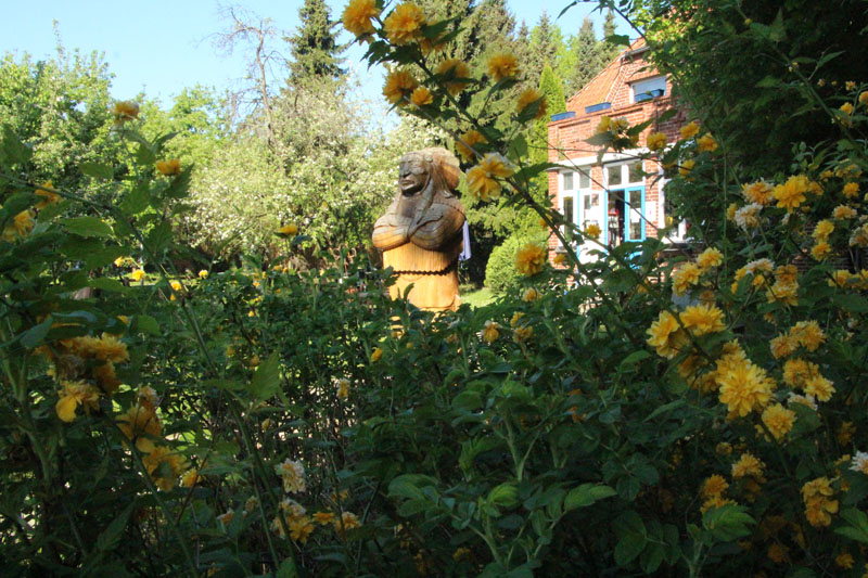 Sabbatical ökologisches Jahr Dorfgemeinschaft