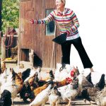 Sabbatical ökologisches Jahr Dorfgemeinschaft