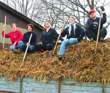 Soziales Jahr - Auszeit auf dem Pferdehof