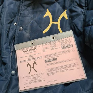 Zénousté ist ein Hannoveraner!!!