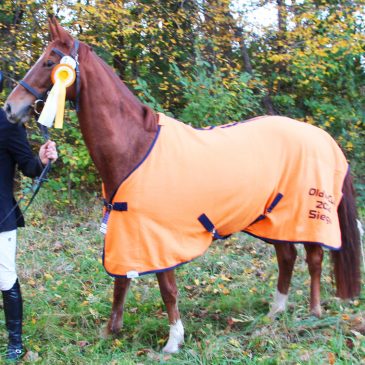 Sport Horse Lamia holt den Cup