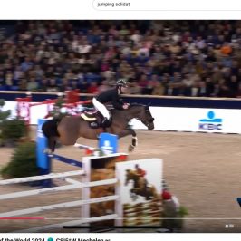 Solidat Springpferd Sport horse Almeida Semper Fi Ovelhey-Stamm