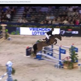 Solidat unter Rodrigo Giesteira Almeida