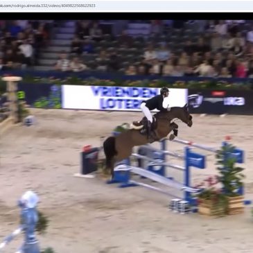 Solidat unter Rodrigo Giesteira Almeida eilen von Sieg zu Sieg.